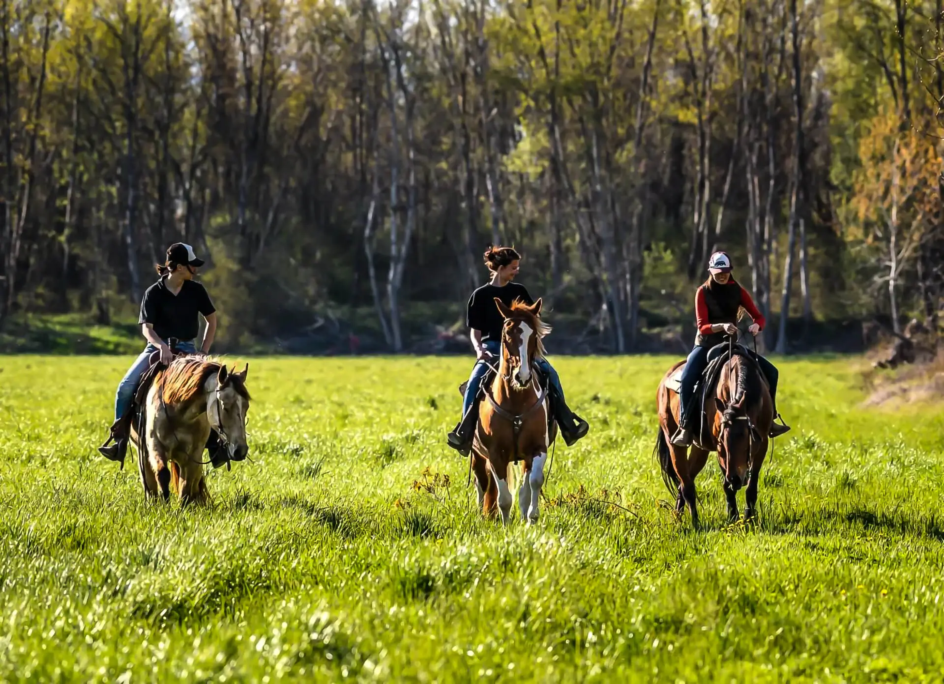 Passeggiate lungo il Brenta