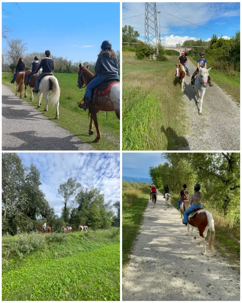 Passeggiate a cavallo